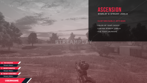 ascension twitch overlay