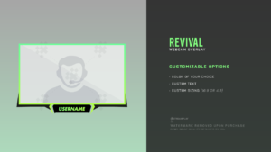 revival webcam overlay