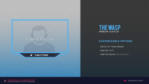 default version of the wasp webcam overlay